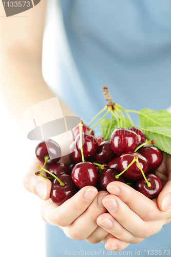 Image of Hands holding bunch of cherries