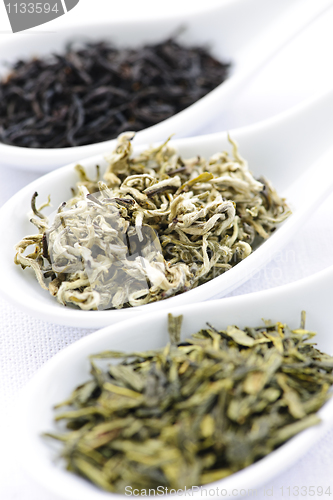 Image of Assortment of dry tea leaves in spoons