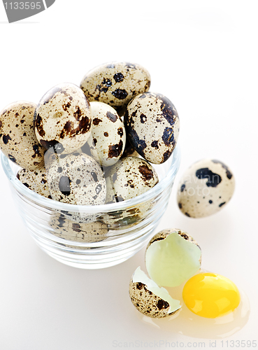 Image of Quail eggs