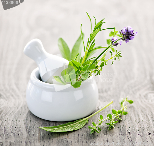 Image of Healing herbs in mortar and pestle