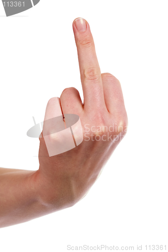 Image of Flipping the Bird