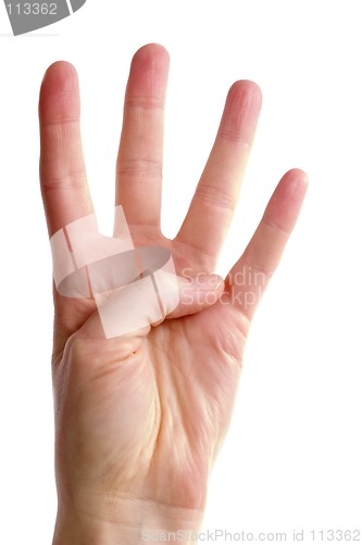 Image of Four Fingers