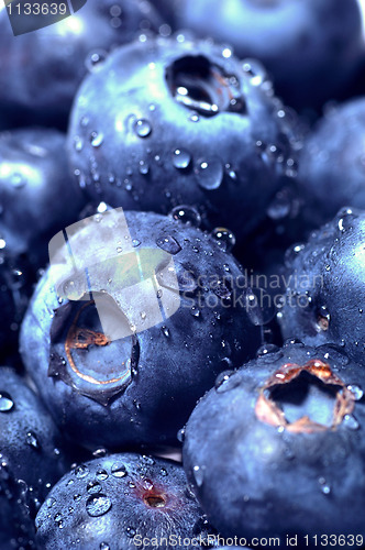 Image of Sweet Blueberries