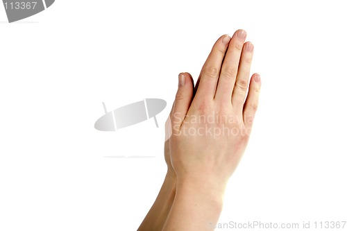 Image of Praying Hands