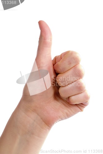 Image of Thumbs Up