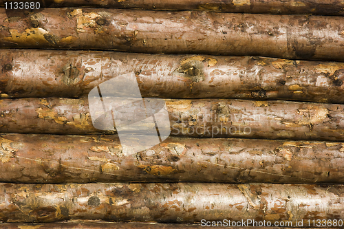 Image of Structure of a wooden wall