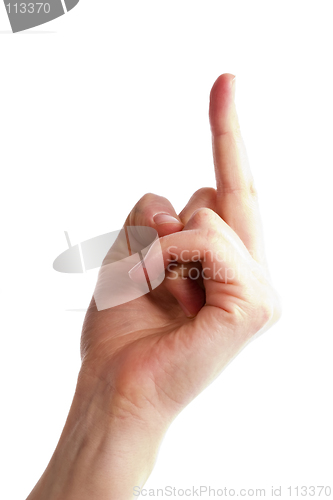 Image of Flipping the Bird