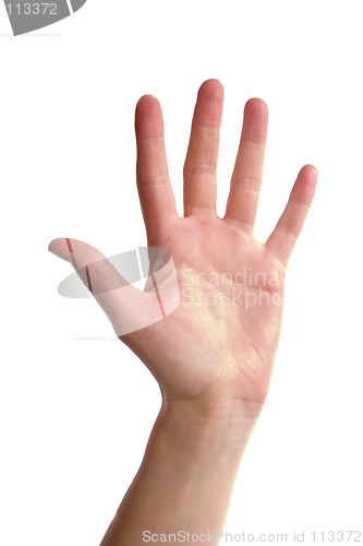 Image of Five Fingers