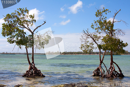 Image of West Coast Mauritius