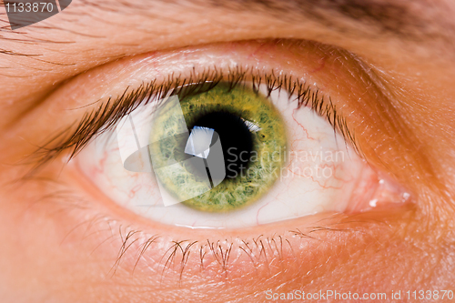 Image of Male eyes