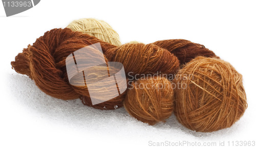 Image of Wool in the snow