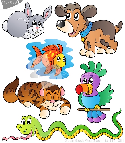 Image of Happy pets collection 1