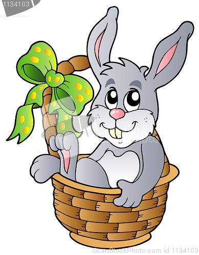 Image of Easter bunny in basket