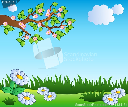 Image of Spring meadow with daisies