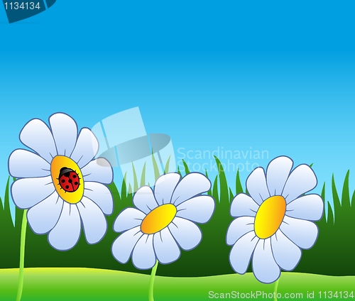 Image of Three daisies and ladybug