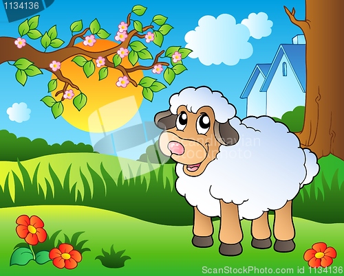 Image of Cute sheep on spring meadow