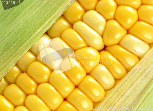 Image of corn close up