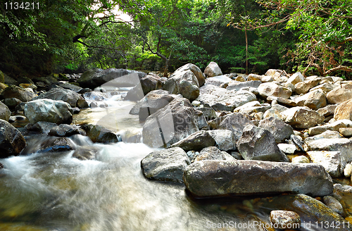 Image of water spring in forest