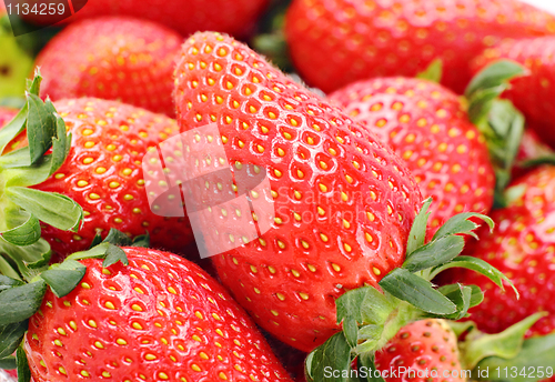 Image of fresh strawberry