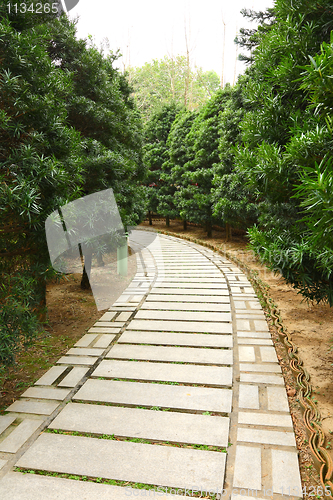 Image of path in garden