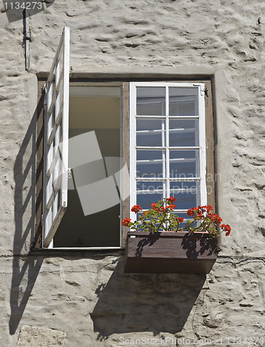 Image of Window with flowers