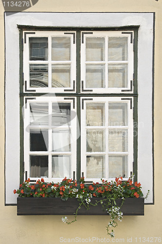 Image of Window with flowers