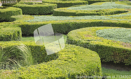 Image of Topiary