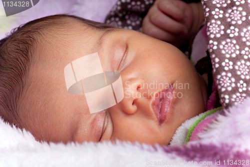 Image of Newborn Infant Fast Asleep