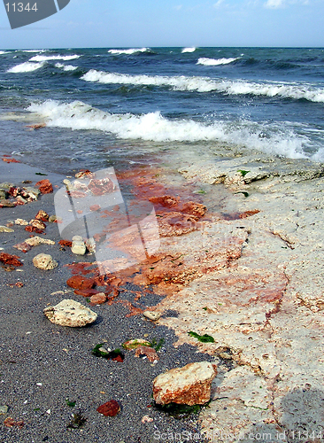 Image of Rocky beach