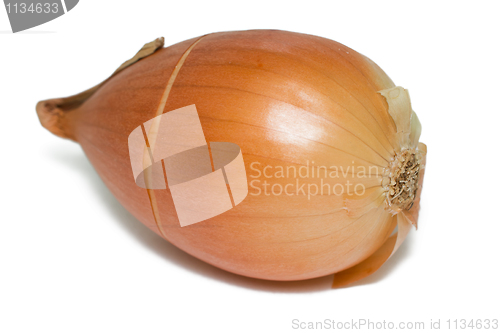 Image of Onions