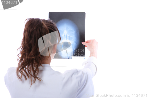 Image of Female doctor looking at an x-ray