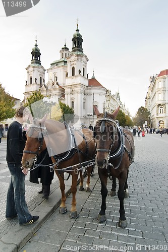 Image of Horse Drawn Cart