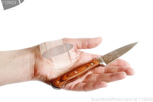 Image of Pearing Knife in Hand