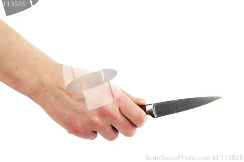 Image of Pearing Knife in Hand