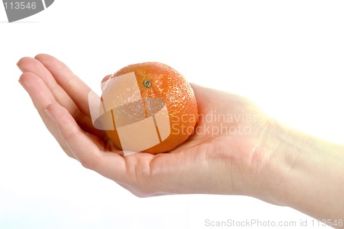 Image of Orange in Hand