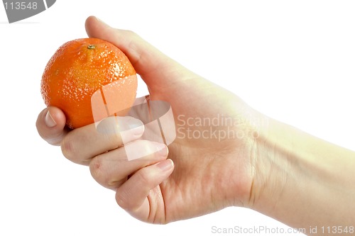 Image of Orange in Hand