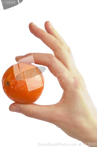 Image of Simply Orange