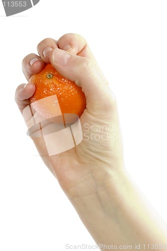 Image of Orange in Hand