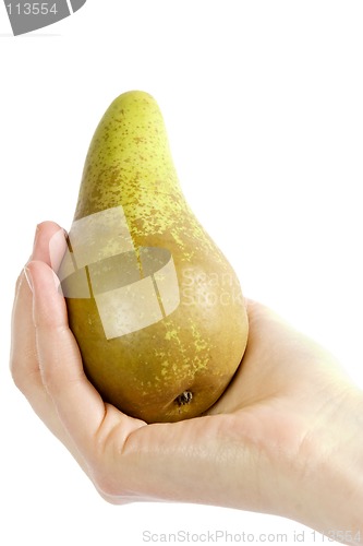 Image of Pear Sudjestion