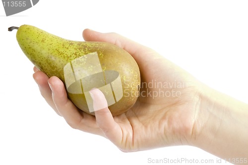 Image of Pear Sudjestion