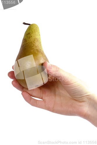 Image of Pear Sudjestion