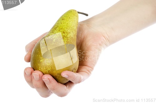 Image of Pear Sudjestion