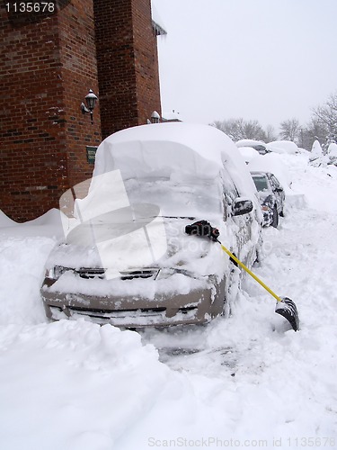 Image of After snowfall