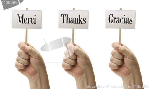 Image of Three Signs In Fists Saying Merci, Thanks and Gracias