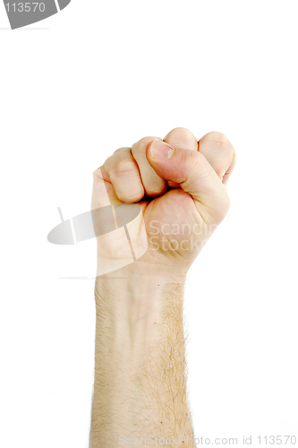 Image of Isolated Fist