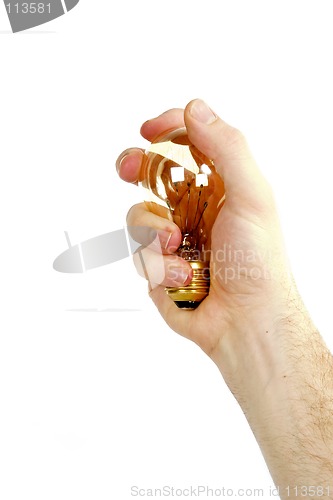 Image of Hand with Light Bulb