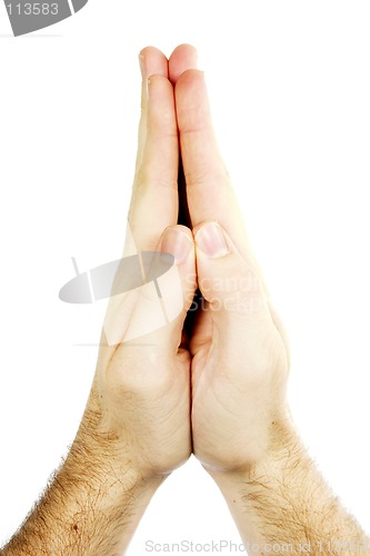 Image of Praying Hands Isolated