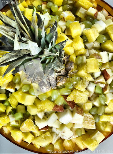 Image of Salad on plate