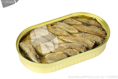 Image of Opened tin can with conserved sprat fish