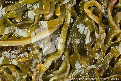 Image of Sliced laminaria
